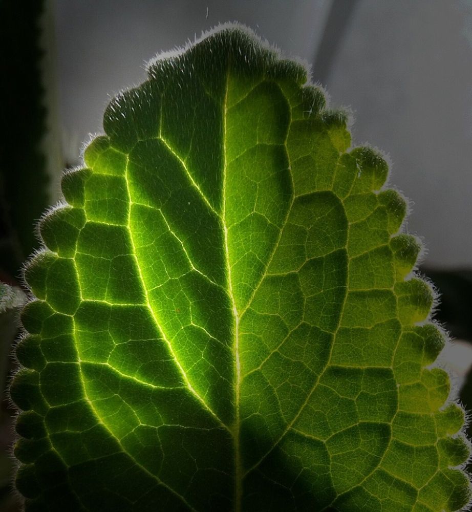 Photograph by Анастасия Дросу