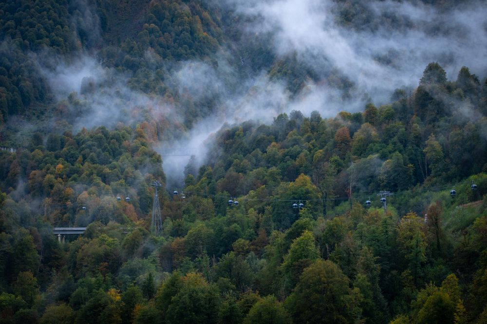 Photograph by Алексей Поляков