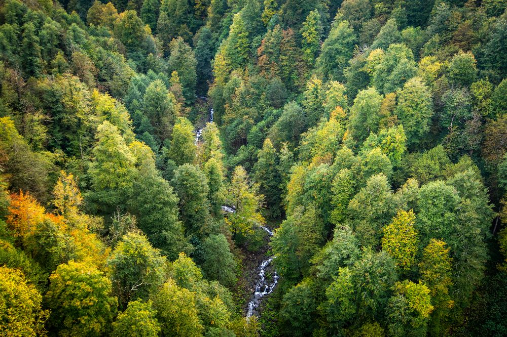 Photograph by Алексей Поляков