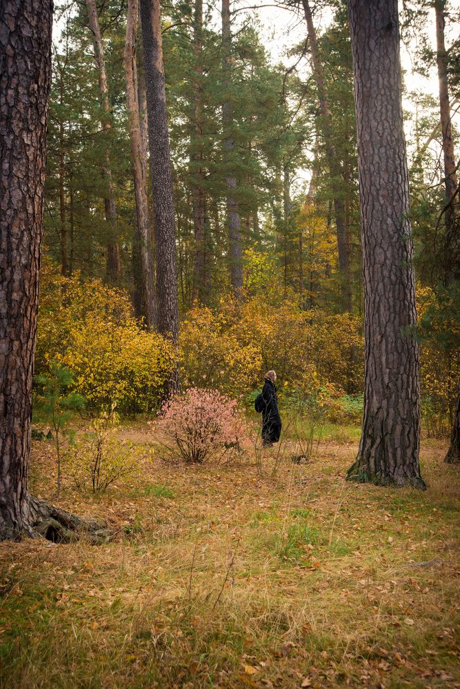 Photograph by Андрей Чуйков
