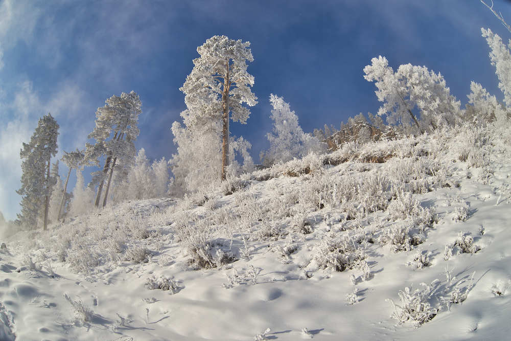 Фотография автора Андрей Ткаченко