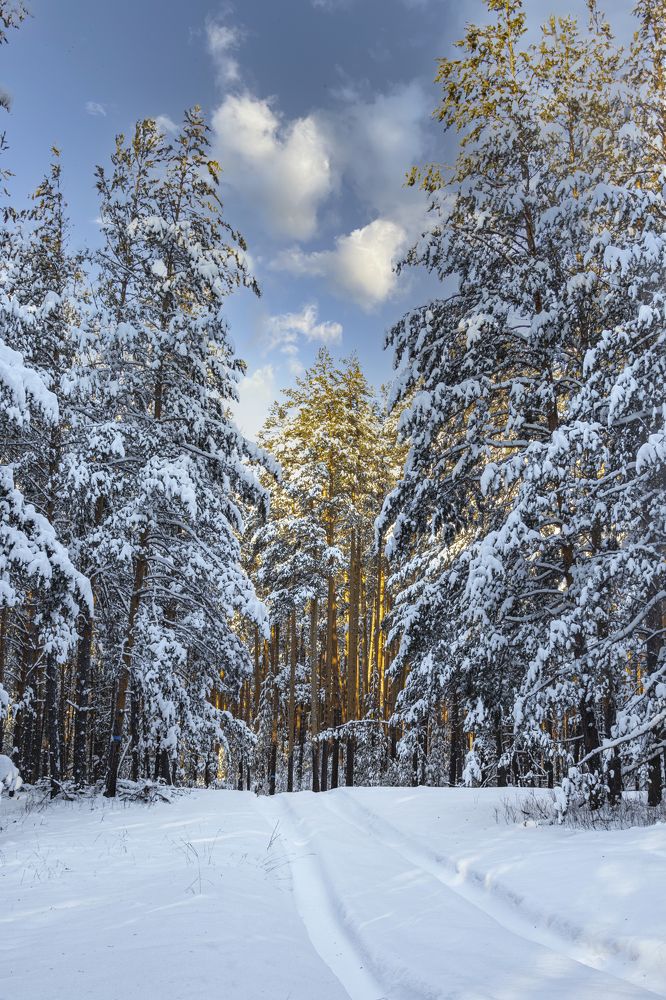 Photograph by Валерий Шорохов