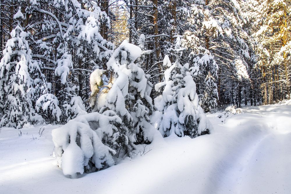 Photograph by Валерий Шорохов