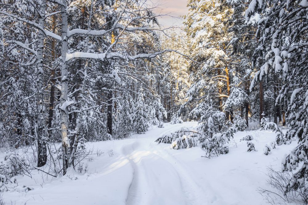 Photograph by Валерий Шорохов