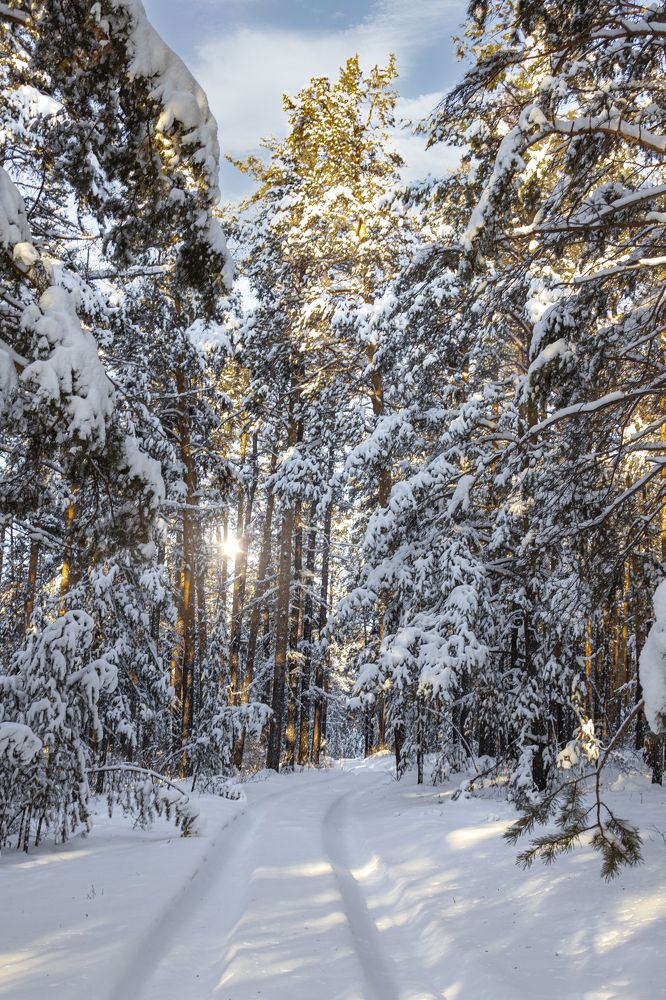 Photograph by Валерий Шорохов