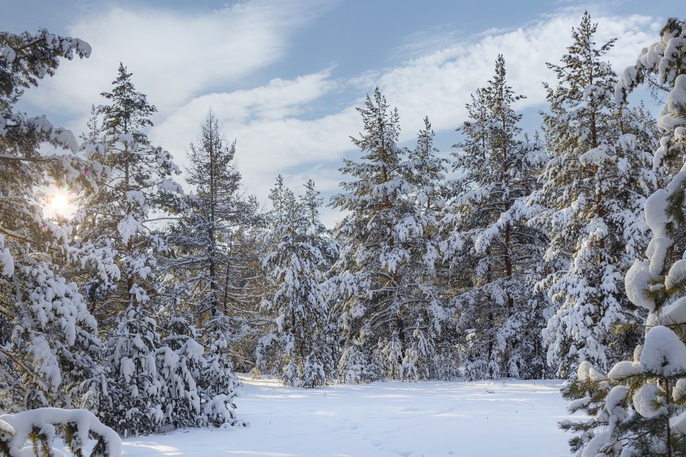 Photograph by Валерий Шорохов