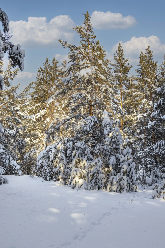 Photograph by Валерий Шорохов