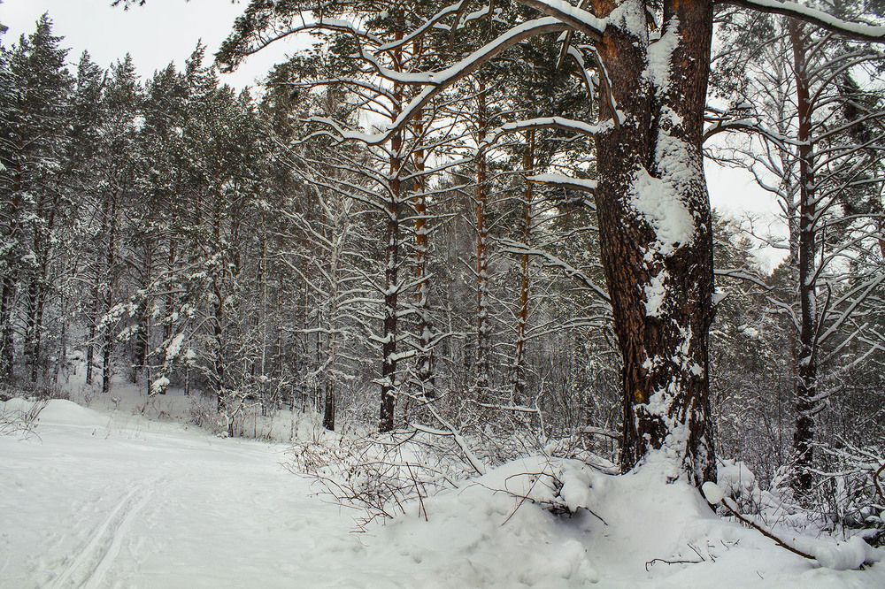 Photograph by Курочкина Диана