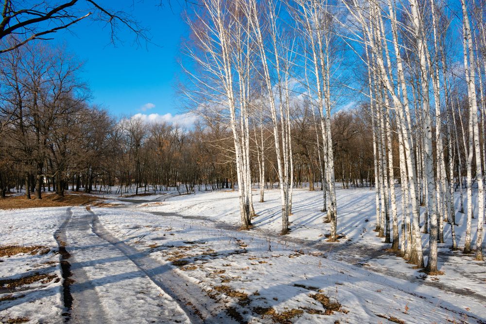 Photograph by Владимир Рогулькин