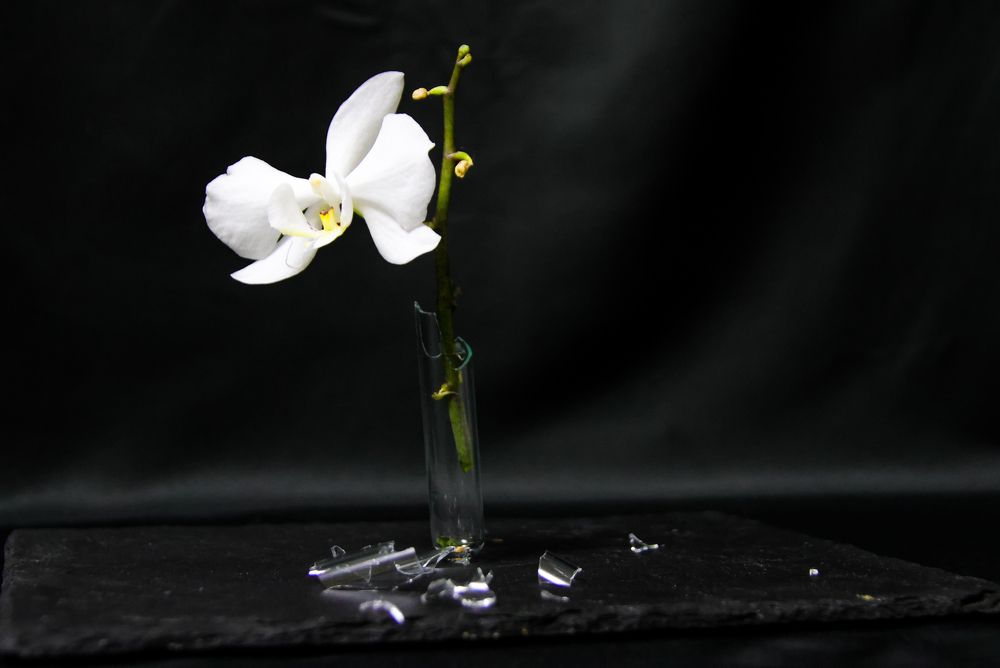 Photograph by Евгения Сенченко