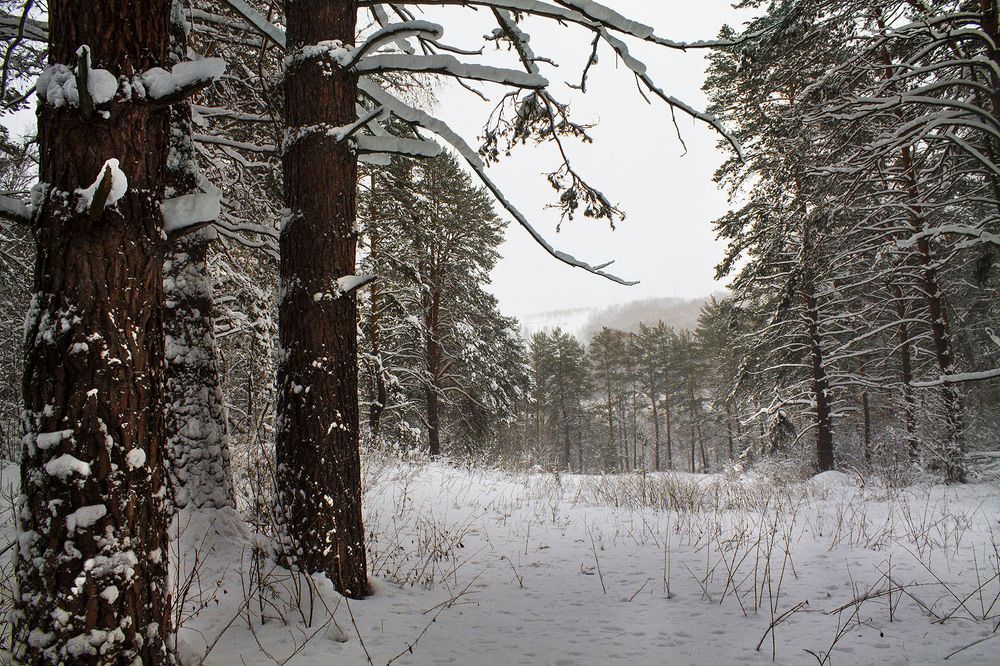 Photograph by Курочкина Диана