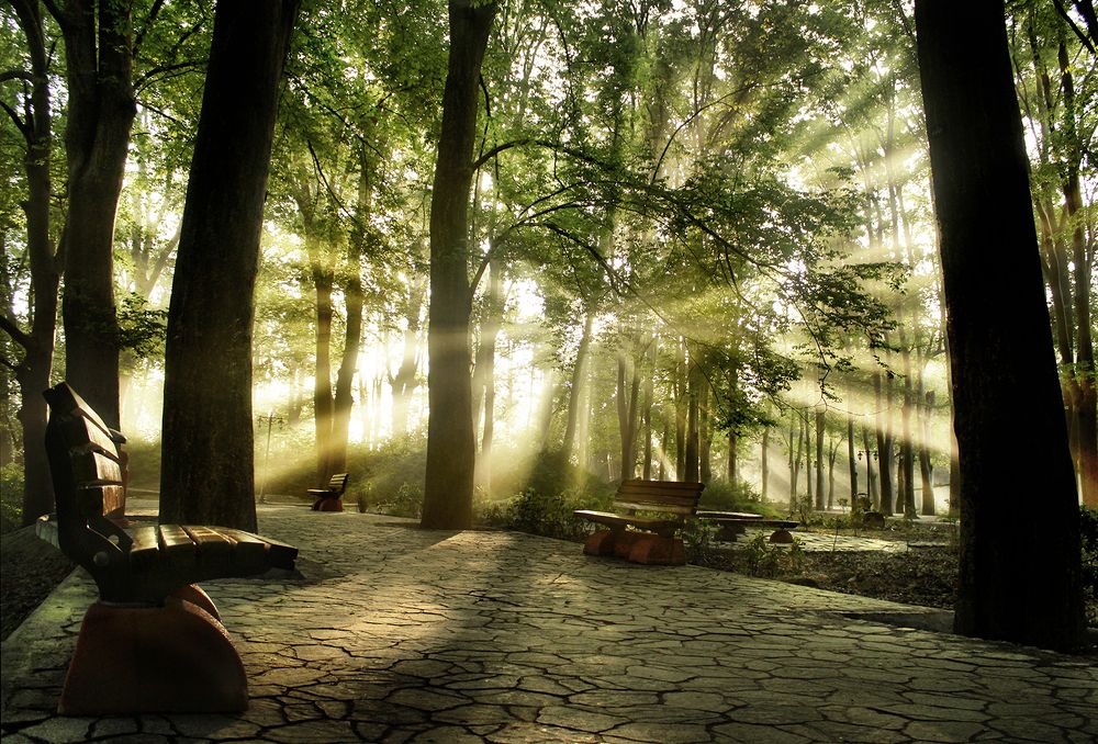 Photograph by hasan sorena jouri