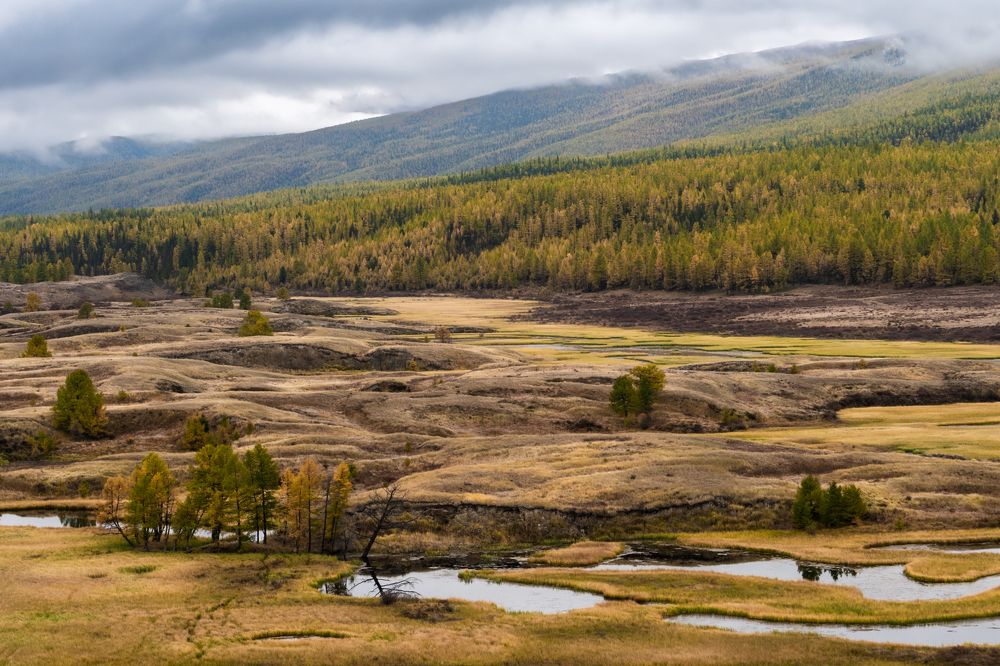 Photograph by Дубровская Екатерина