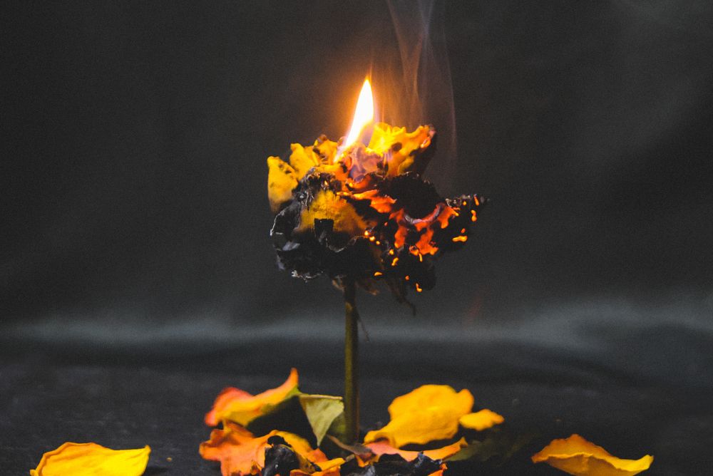 Photograph by Евгения Сенченко