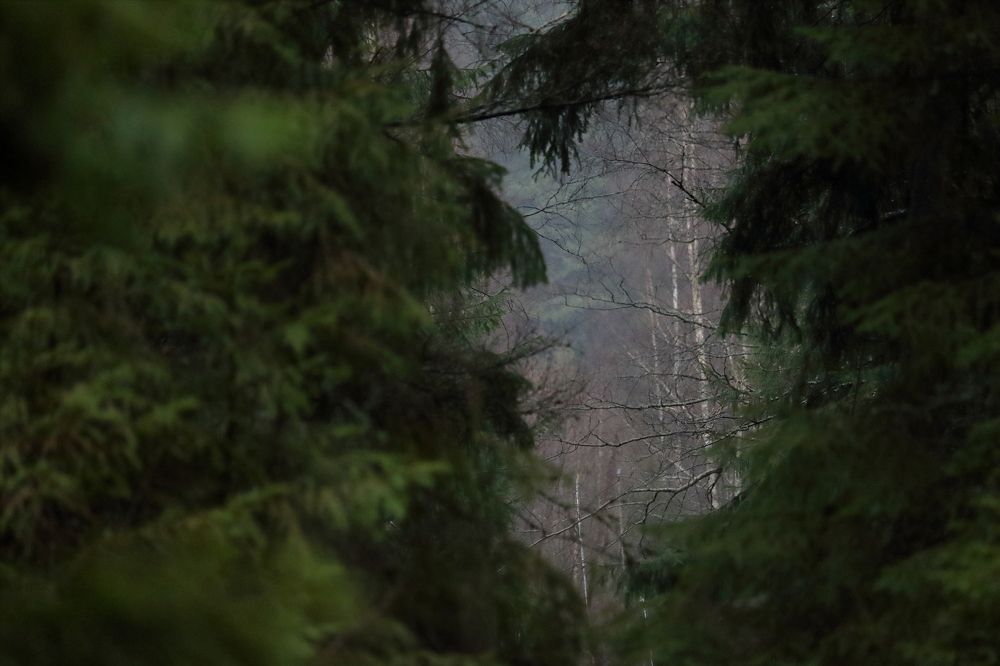 Photograph by Юлия Куликова