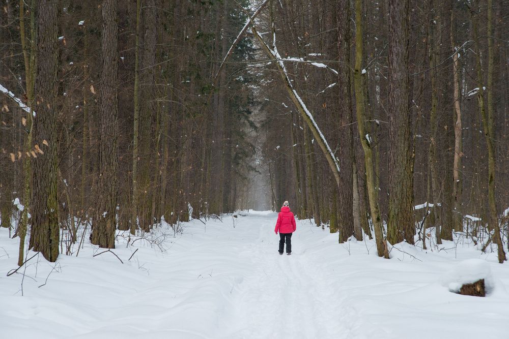 Photograph by Андрей Чуйков