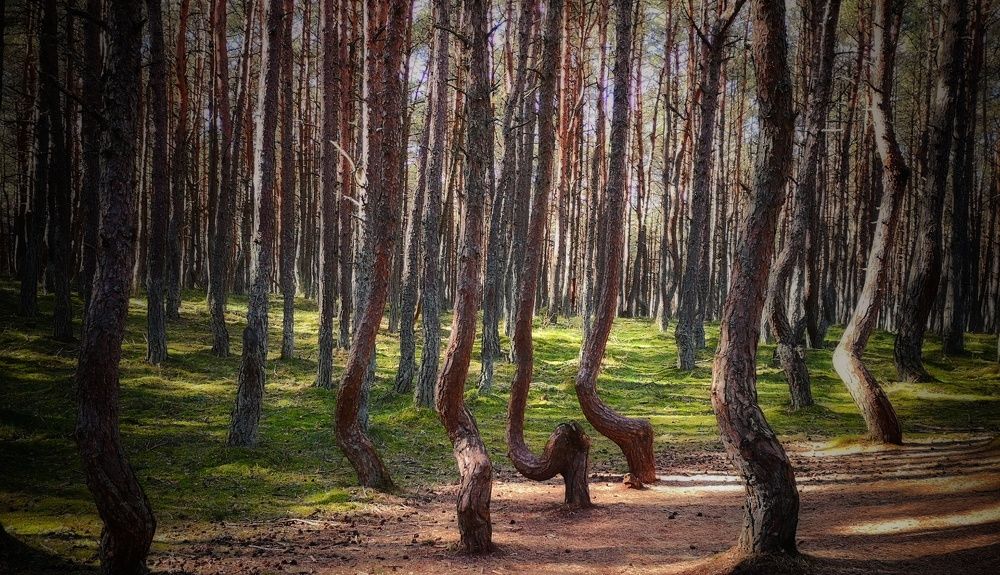 Photograph by Наталия Мельникова