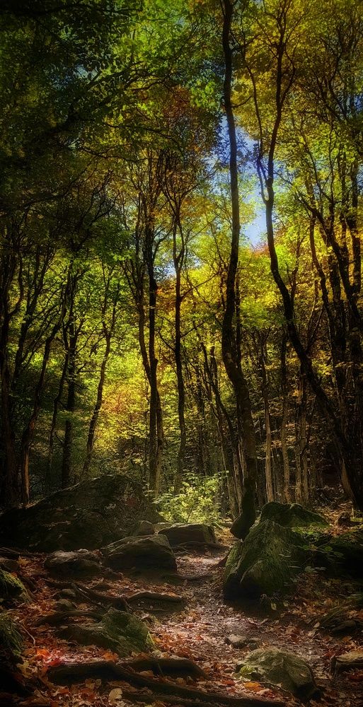 Photograph by Наталия Мельникова