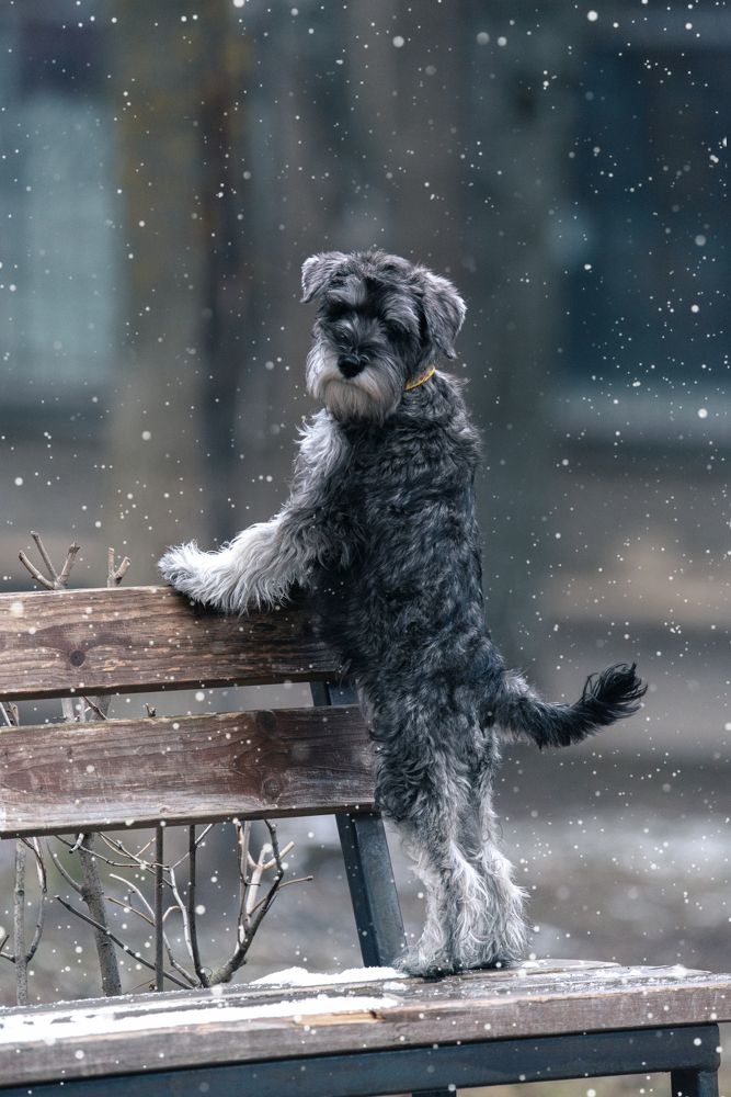 Photograph by наталья залогина