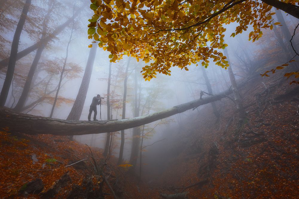 Photograph by Костенко Александр