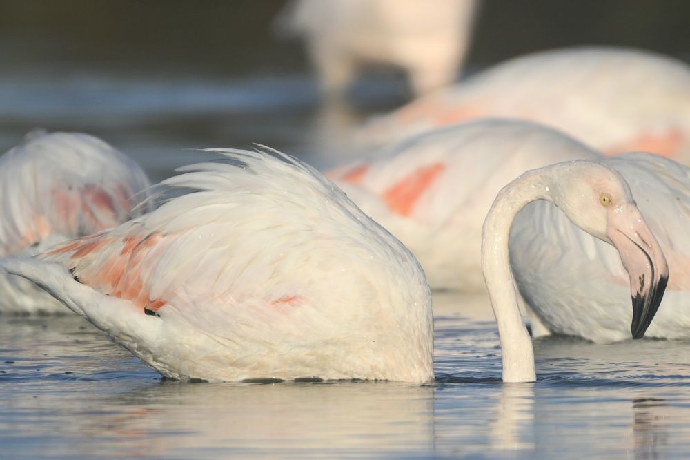 Photograph by Luca liberotti