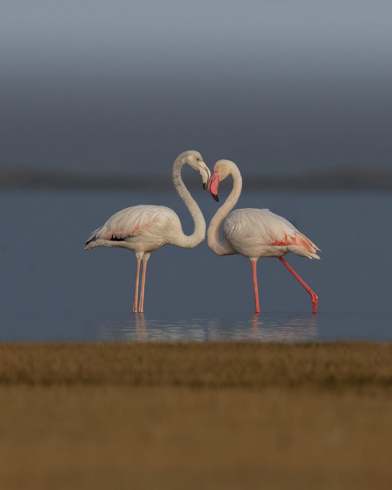 Photograph by Prabhat Ghosh