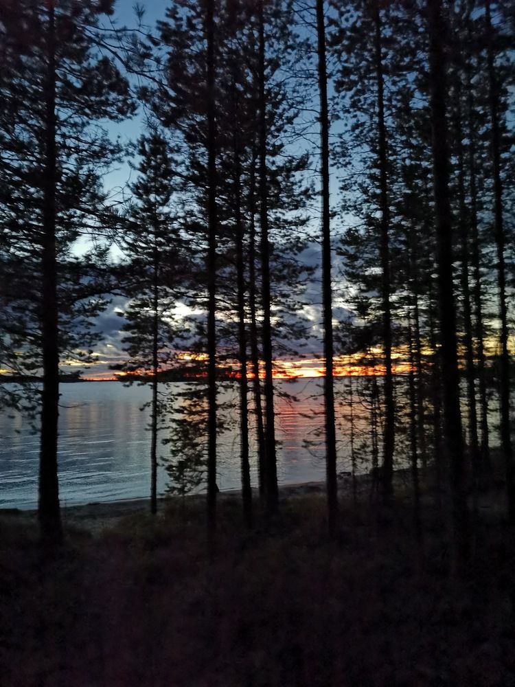 Photograph by Нина Родионова