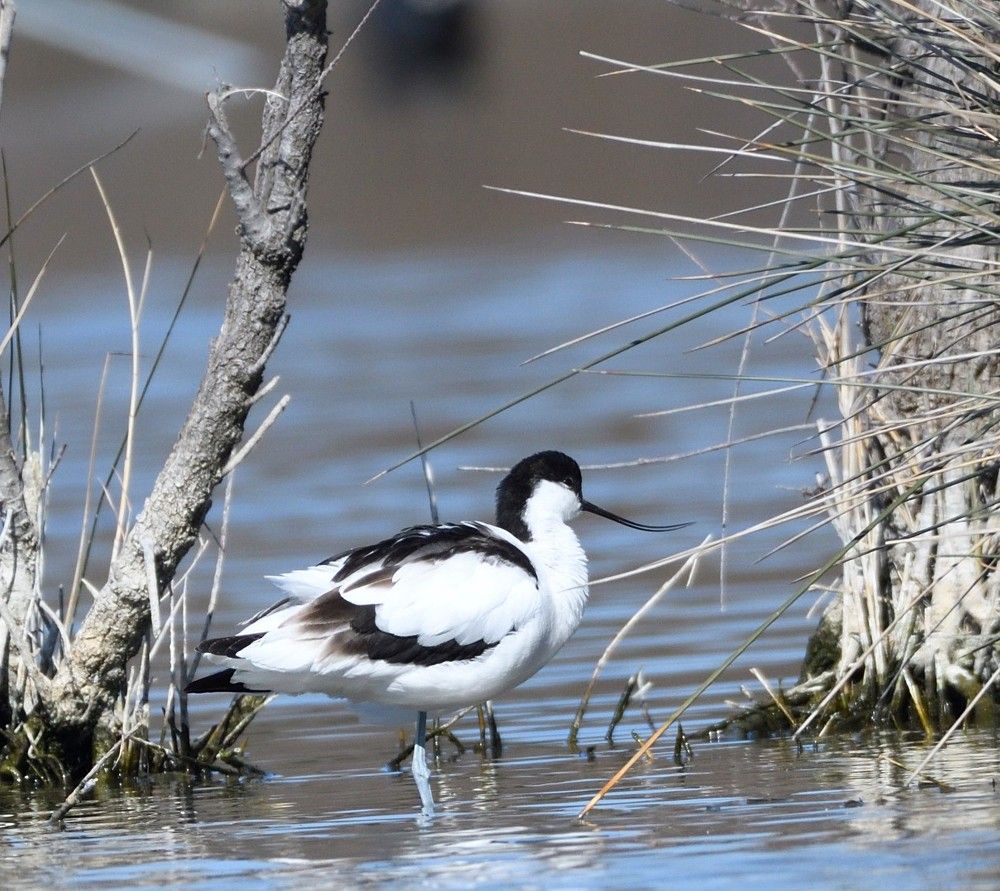 Photograph by Luca liberotti