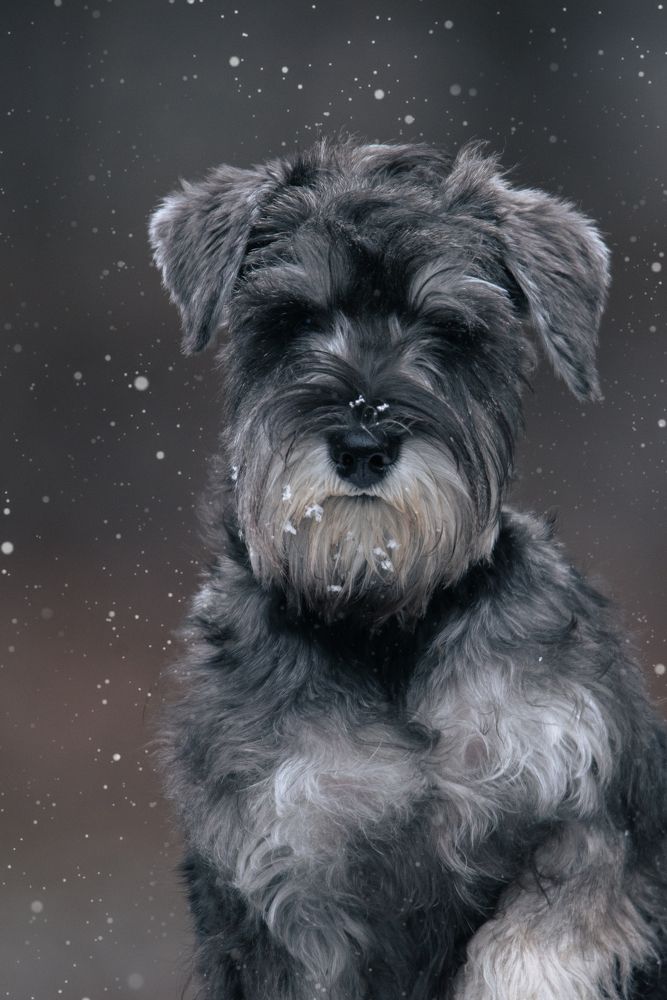 Photograph by наталья залогина