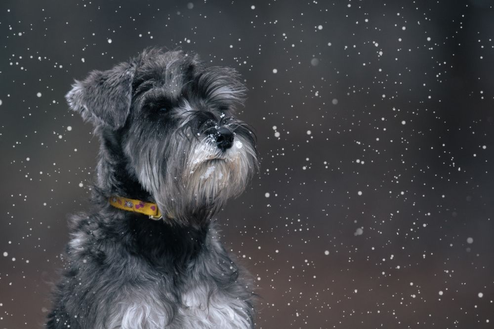 Photograph by наталья залогина