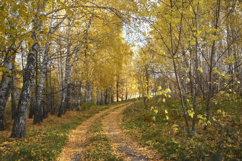 Photograph by Фарит Зиатдинов