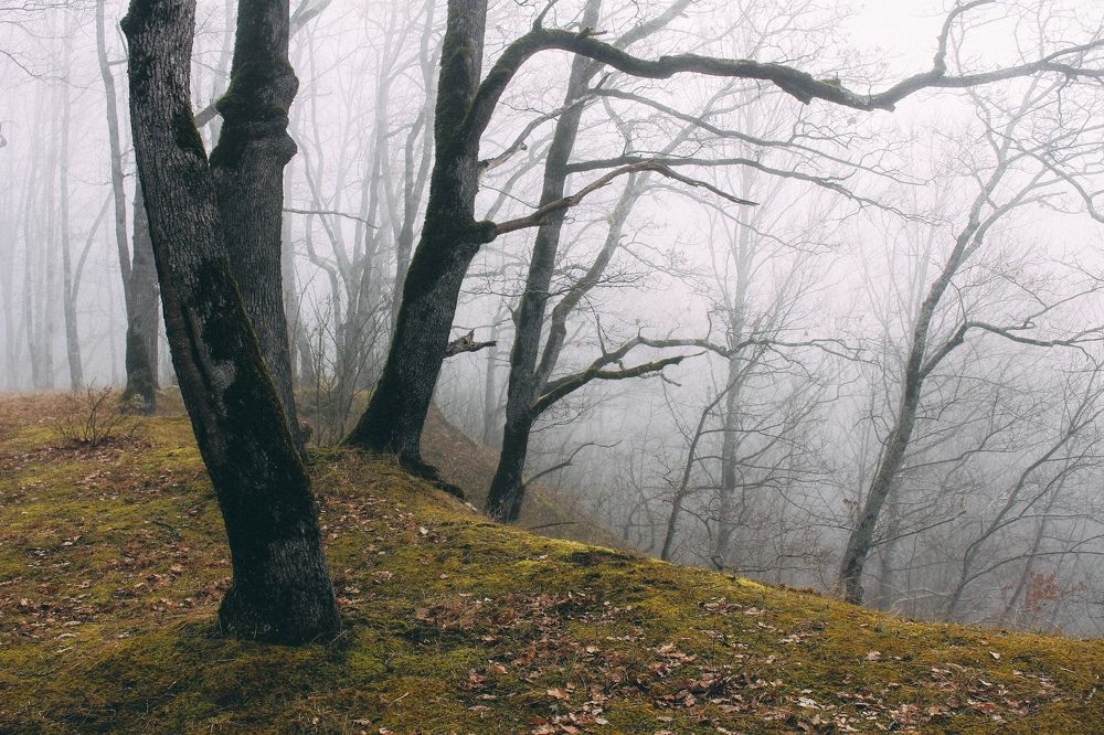 Photograph by Анастасия Лидяева