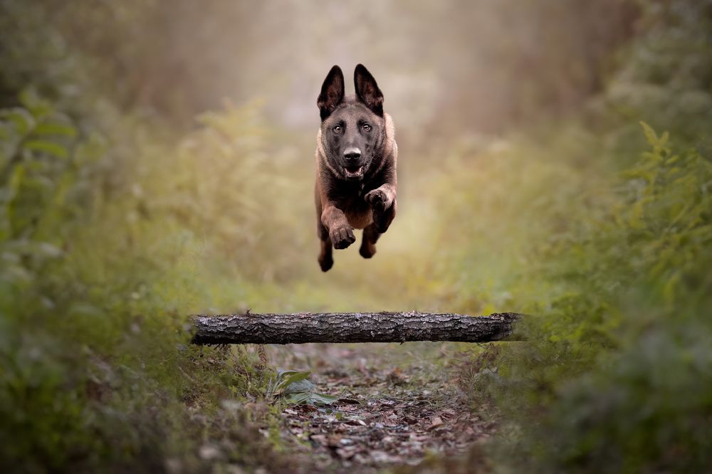 Photograph by Leticia Hernandez