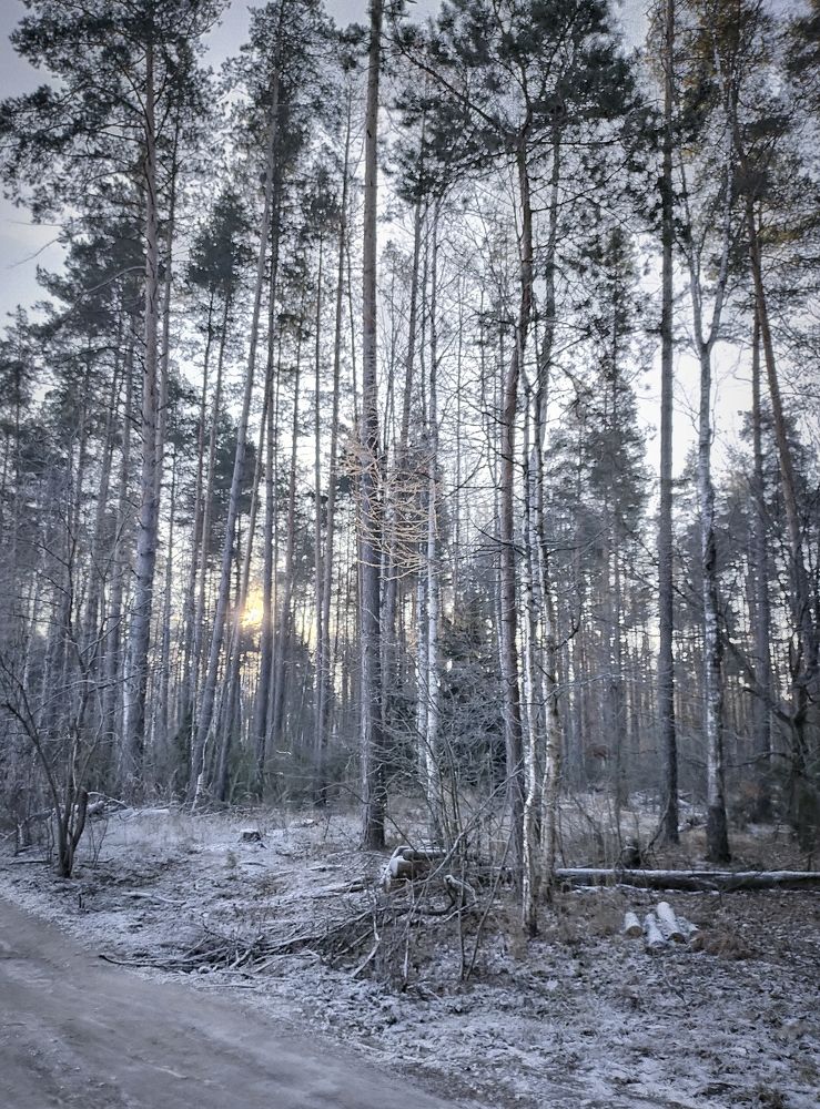 Photograph by Ольга Мартьянова