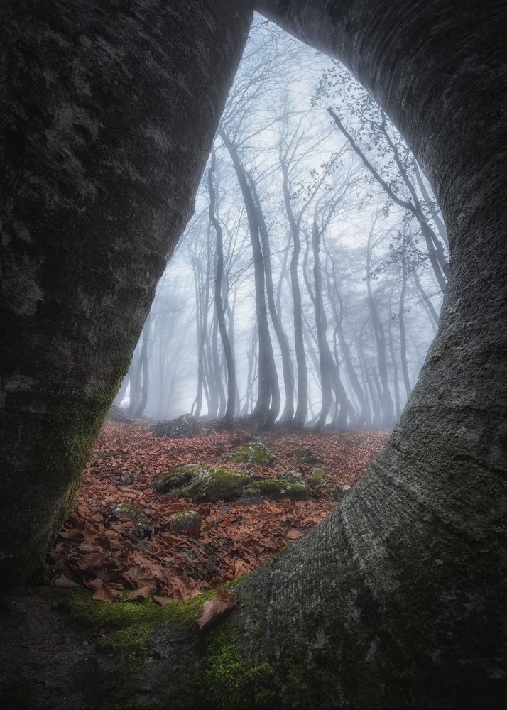 Photograph by Andrea Curzi