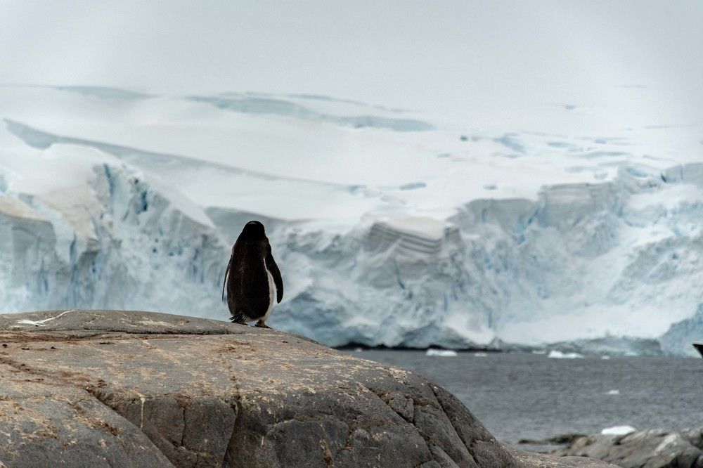 Photograph by Ованес Агарян