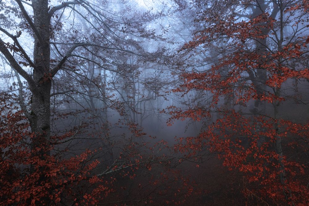 Photograph by Andrea Curzi