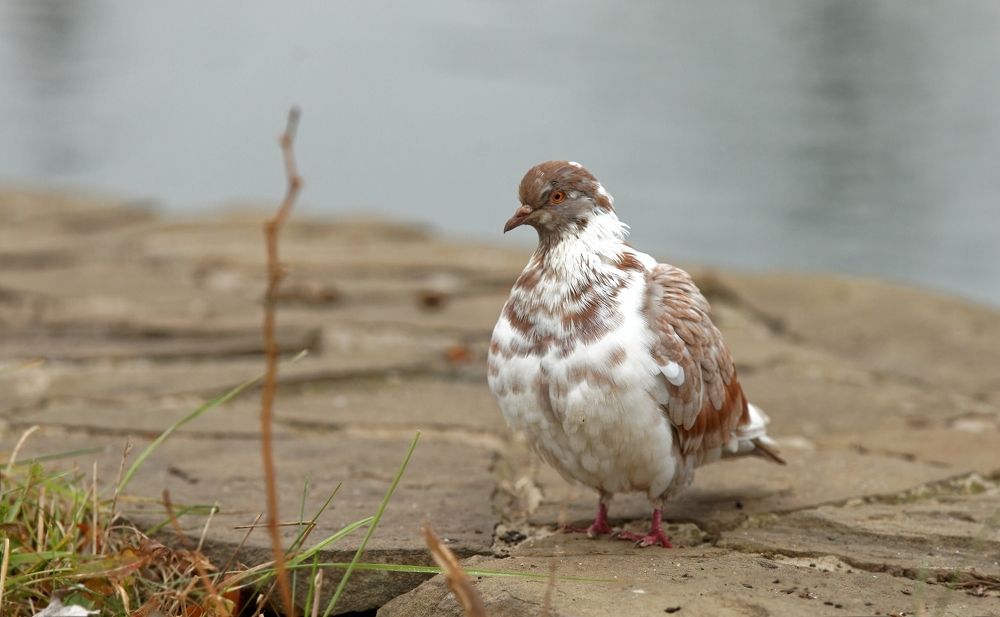 Photograph by Вадим