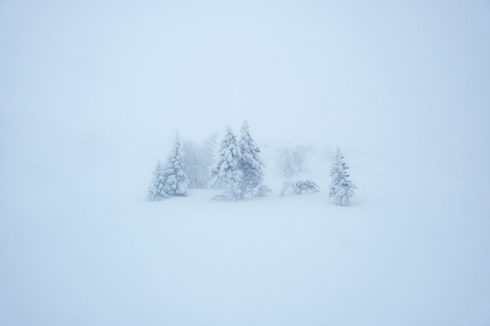 Photograph by Бодрягин Виталий