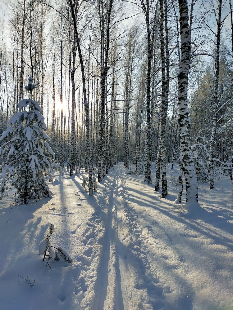 Photograph by Ольга Мартьянова