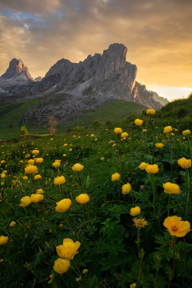 Фотография автора Krisztián Zámbó