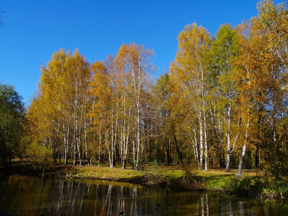 Photograph by Марина Раткун