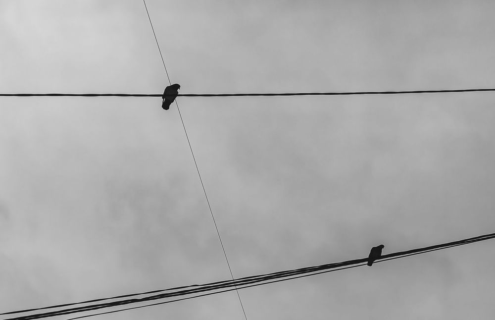 Photograph by Ксения Тенькина