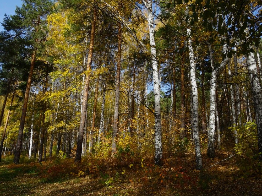 Photograph by Марина Раткун