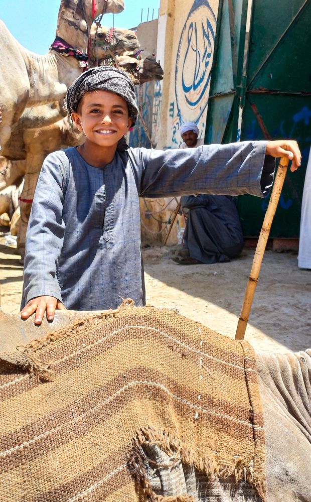 Фотография автора islam Mohmmed