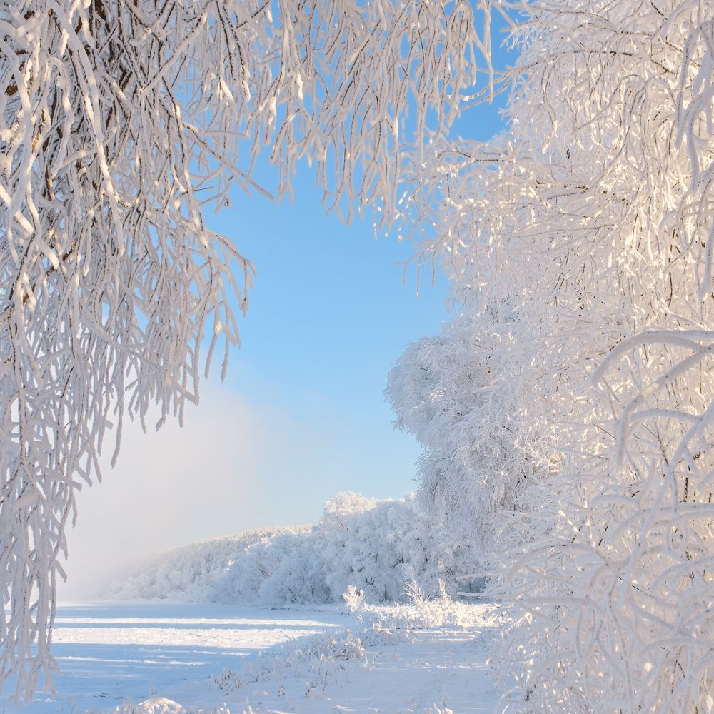 Photograph by Леонтьев Константин