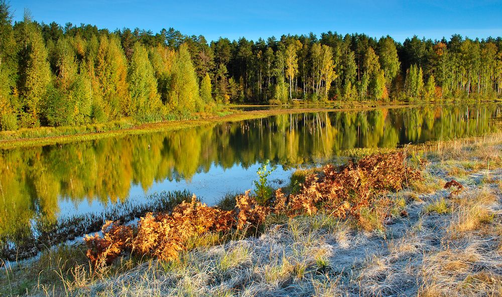 Photograph by Светлана