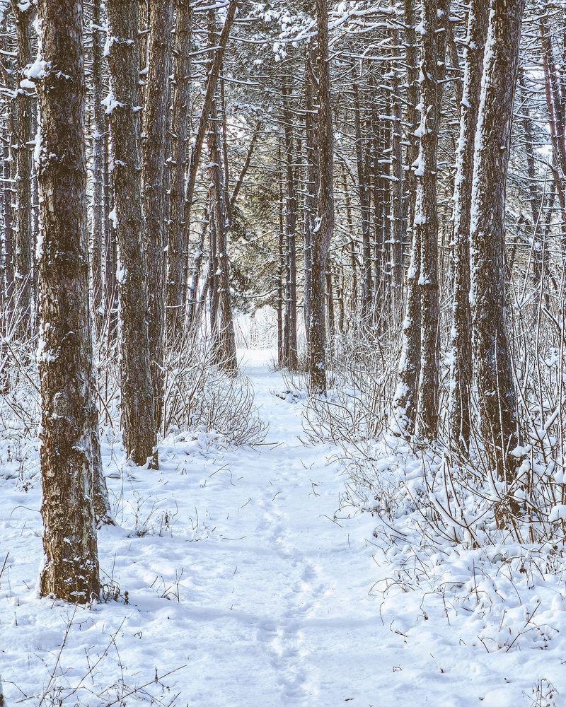 Photograph by Алексей Гуминский
