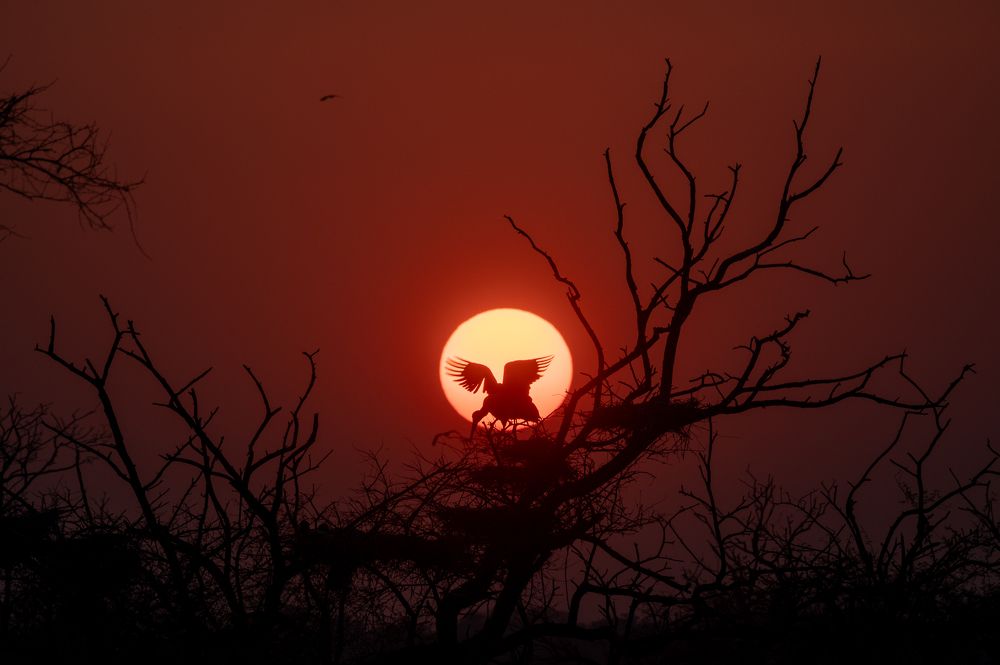 Фотография автора Hari Saya