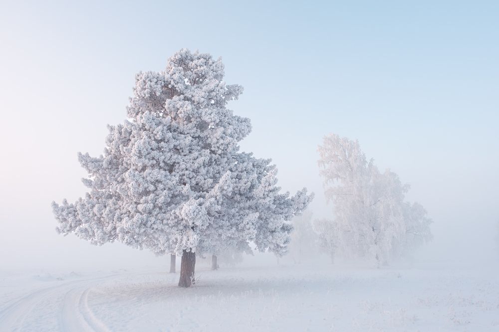 Photograph by Леонтьев Константин